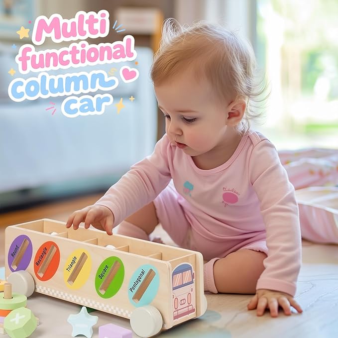 Montessori Toys for 1 2 3 Year Old, Wooden Color & Shape Sorting Matching Toys | Learning Educational Toys for 1-3 Year Old Kids | One 1st 2st Birthday Gift for Boy Girl