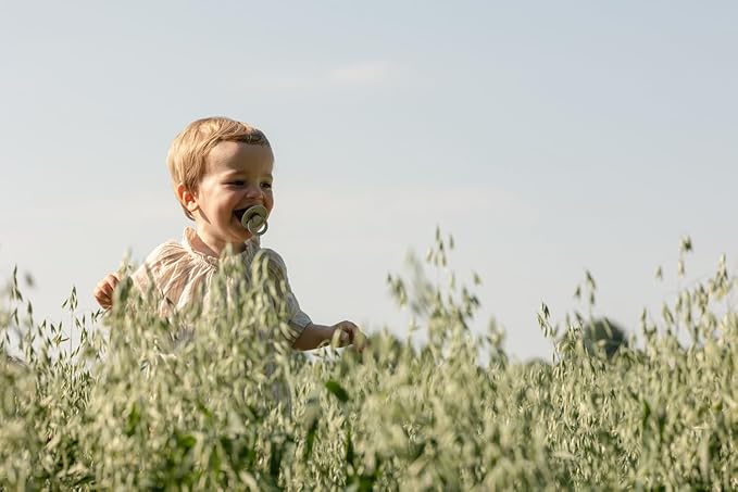 Bibs Pacifiers Color Collection, Set of 2 BPA-Free Latex Pacifiers Made in Europe, Round Nipple Baby Pacifier.