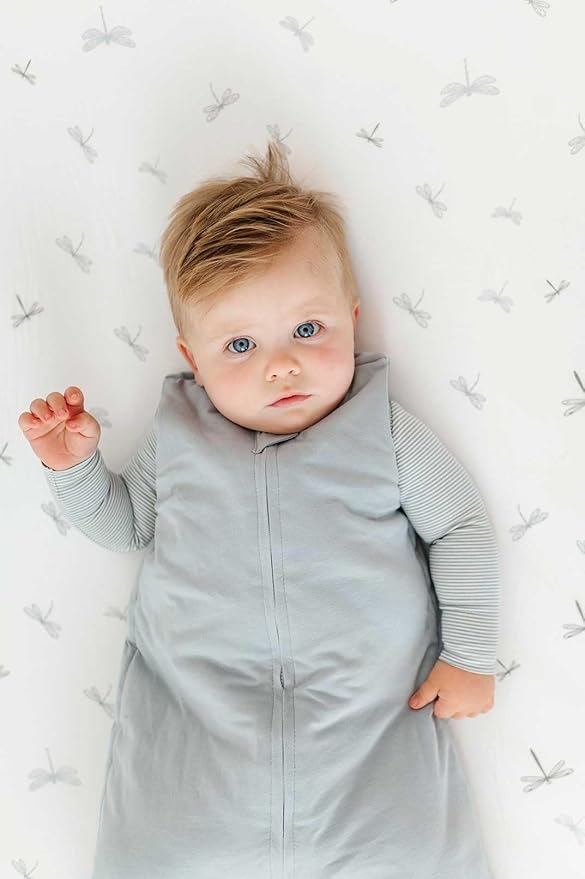 Ely’s & Co. Changing Pad Cover, Diaper Changing Table Sheets, 2 Pack, Cradle Sheet Set for Baby Boys, 100% Jersey Knit Cotton, 32”x16”x5” Blue Dragonfly + Stripe Collection