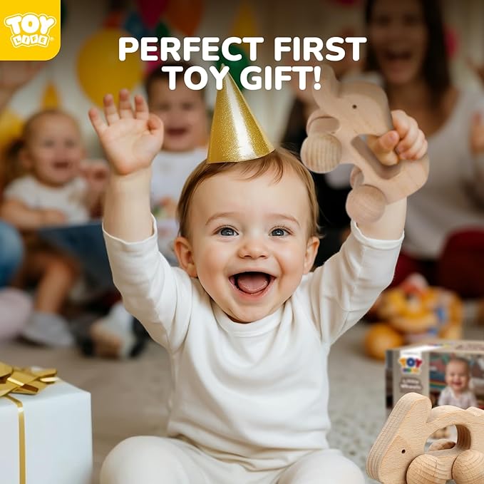TOY Life Wooden Toys Cars, Montessori Baby Toys 6-12 Months, Wooden Baby Toys Rattle Cars for Toddlers 1-3, Baby Boy Nursery Decor, Montessori Toys for 1 Year Old Boy (Animal Set)