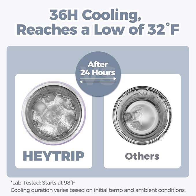 HEYTRIP Portable Breastmilk Cooler - 20oz Stainless Steel Milk Chiller Bottle for Travel & Work | Reusable Breastmilk Storage Container, 36+ Hour Cooling, TSA Approved | Violet Aurora