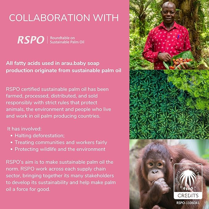 Arau Baby Foam Bottle Wash - Gentle Cleansing Soap for Bottles, Pacifiers, Toys, Dirty Surfaces, Foam Dish Soap, Plant Based, Safe for Baby, Trusted Baby Care Brand (16.9 fl oz - Pack of 3)